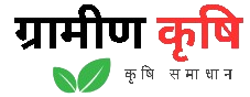 bsmaurya